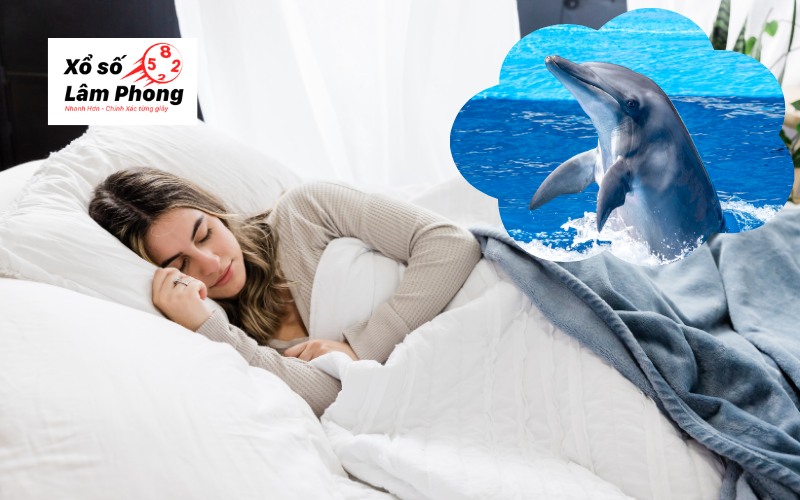 Hé lộ điềm báo của giấc mơ thấy cá heo và các con số liên quan