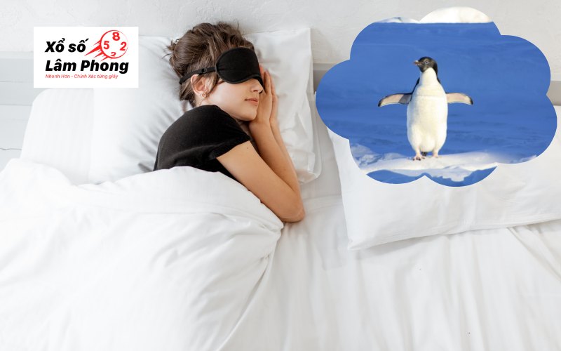 mơ thấy chim cánh cụt