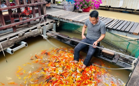 Thu hút năng lượng tài chính, đón nhận cơ hội